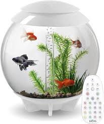 biOrb Halo Acquario 30L Bianco con Illuminazione LED MCR