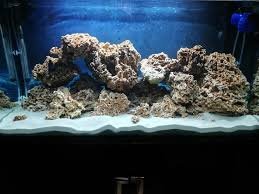 Pietra Decorativa TM Aquatix per Acquario