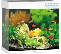 Acquario Lido 120 LED Multicolore con Decorazioni