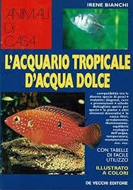 Guida Completa all'Acquario Tropicale d'Acqua Dolce