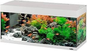 Acquario DUBAI 100 LED in Vetro per Acqua Dolce