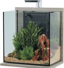 Zolux Acquario Idro 40 Grigio - Kit Completo per Pesci