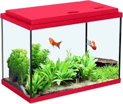 Acquario Nanolife Kidz 35 Rosso - 12