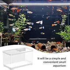 Acquario Creativo da Tavolo Joberio - Kit Decorativo per Acqua Salata