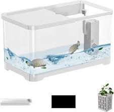 Acquario Decorativo Versatile per Pesci