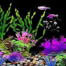 Cosysparks: Set di 12 Piante Artificiali per Acquario