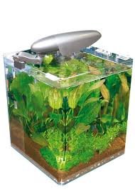 Acquario Cubo Wave 25L con Filtro e Lampada