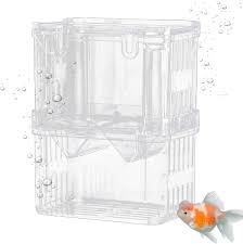 Scatola di Allevamento per Pesci d'Acquario