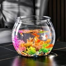 FGXY Incubatore per Pesci per Acquario