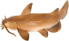 Gioco Cognitivo Pesce Gatto per Bambini