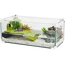 Acquario Tartaruga Zolux 60 CM