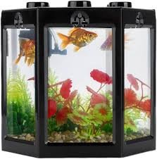 Mini Acquario Esagonale Angolare in Plastica