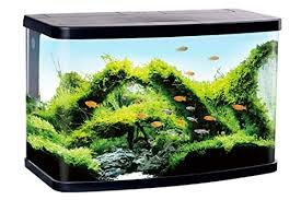 Acquario da 30 Litri con LED e Filtro