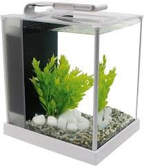 Askoll Fluval Acquario Spec Bianco 10L