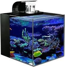 Acquario Acrilico DUTUI con Circolazione Automatica per Desktop