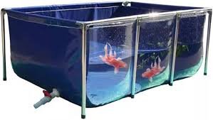 Acquario XXL in PVC con Telaio e Finestra