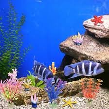 Coralli e Piante Acquatiche EQLEF per Acquario