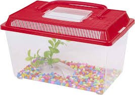 Set Base per Acquario in Plastica Rossa - URBNLIVING