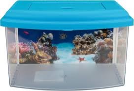 Aime Acquario - Plastica Colorata per Acquaristica - 1 Unità