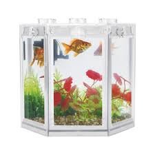 Acquario Esagonale Compatto 12x10