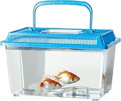 Vasca Acquario in Plastica per Piccoli Animali e Pesci