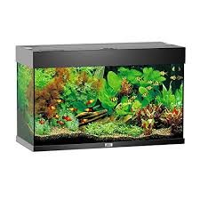 Acquario Juwel Rio 125 Completo con Accessori e Filtraggio