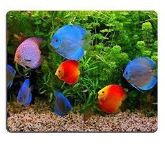 Mousepad Gaming Creativo: Ciclidi Colorati in Acquario