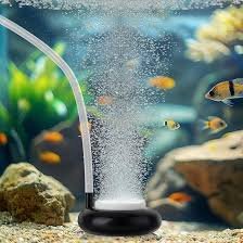 Pompa Aria Silenziosa per Acquario - Aumenta O2 e Riduci CO2 - 50mm